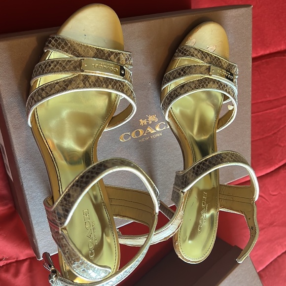 Coach Snake print only worn once to a wedding. - Picture 2 of 6